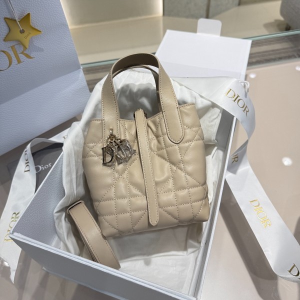 디올 뚜주흐 나노 버티컬 토트백