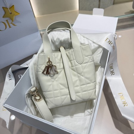 디올 뚜주흐 나노 버티컬 토트백