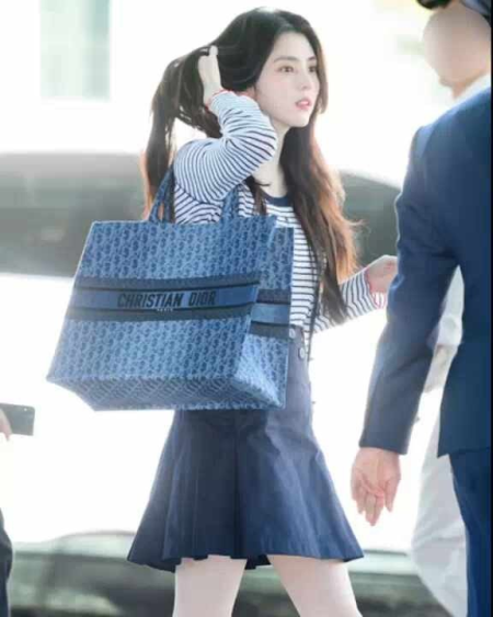 디올 북 토트백 라지