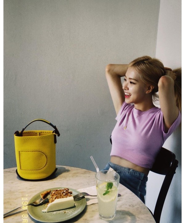 델보 핀 미니 버킷백