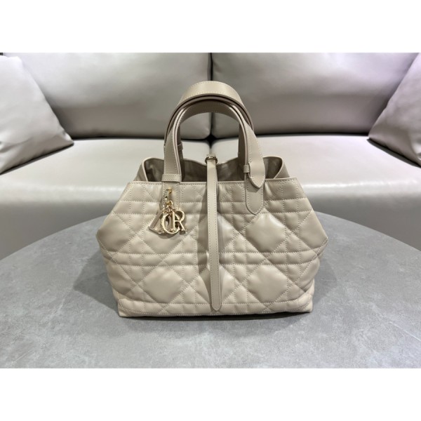 디올 뚜즈흐 미디엄 백