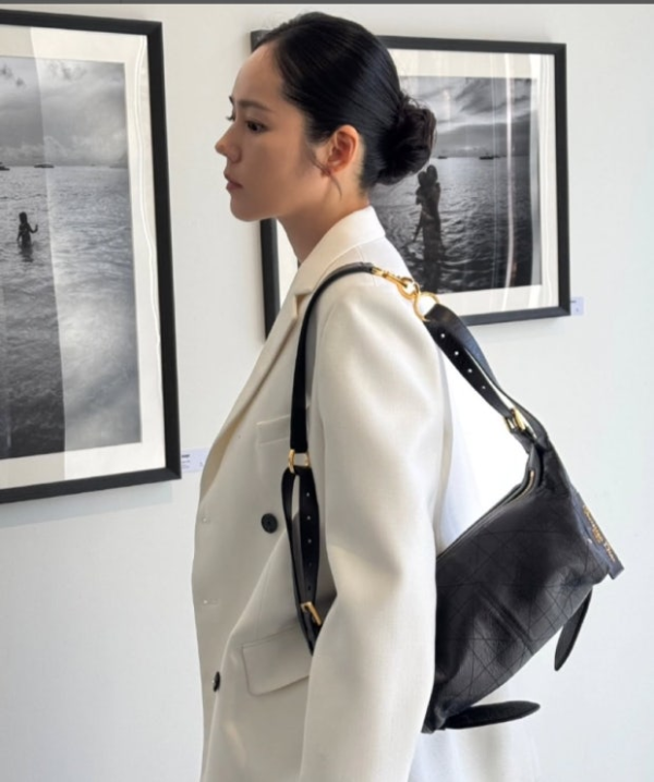 디올 D-Journey 스몰 백