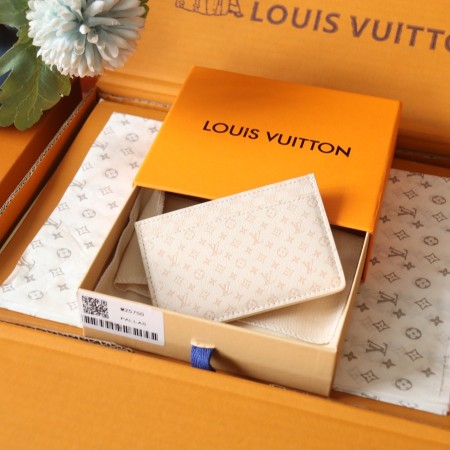 루이비통 카드 홀더