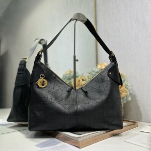 디올 보야지 호보백 라지